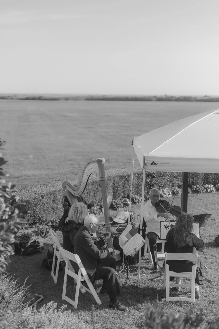 Black-and-white harpist performing for wedding guests — David and Katia wedding