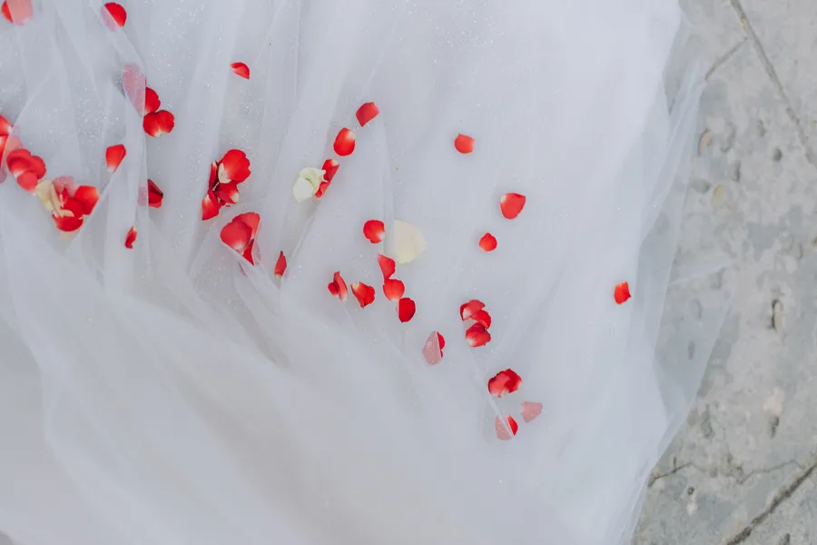 Officiant leading a garden wedding ceremony — Steven and Iryna wedding