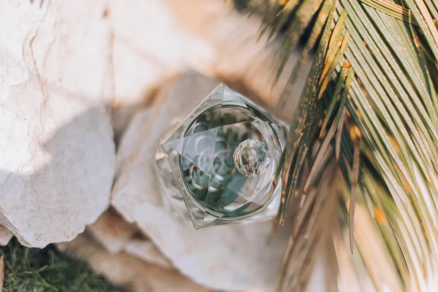 Wedding ring photographed with palm leaves and bridal lace
