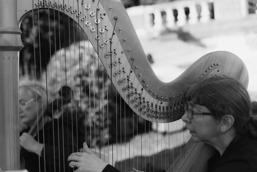 Black-and-white harpist performing for wedding guests — David and Katia wedding